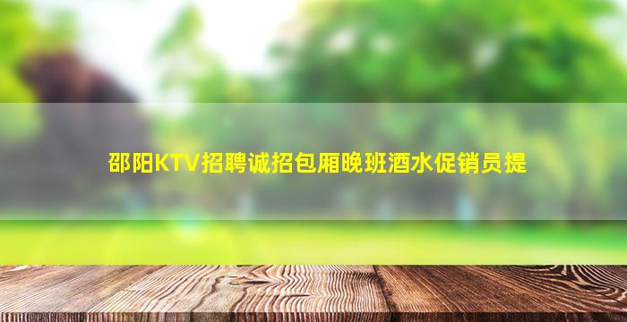 邵阳KTV招聘诚招包厢晚班酒水促销员提